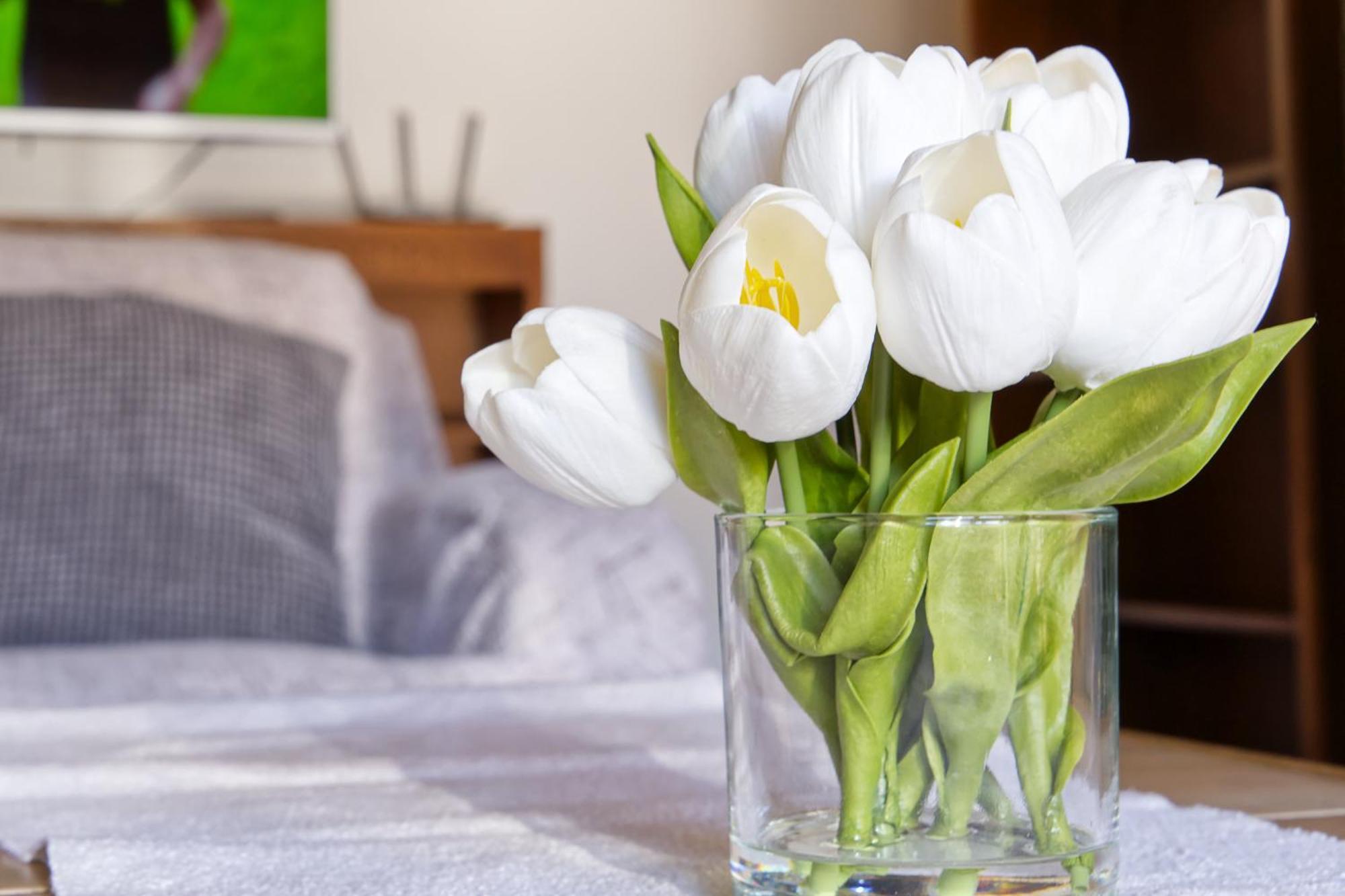Castle Way Apartments Tamy Bled Bagian luar foto